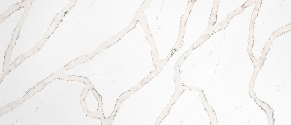 Calacatta Goa countertop color from MSI
